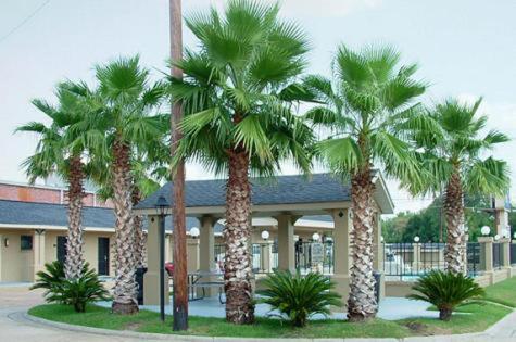 Budget Inn Monroe Εξωτερικό φωτογραφία